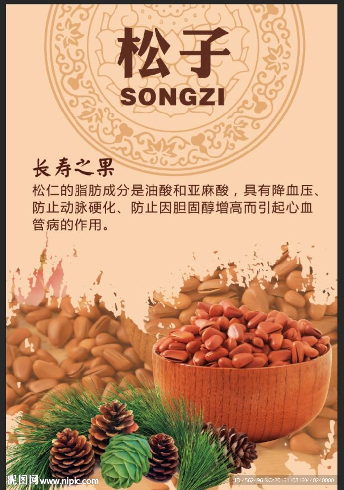 松子广告