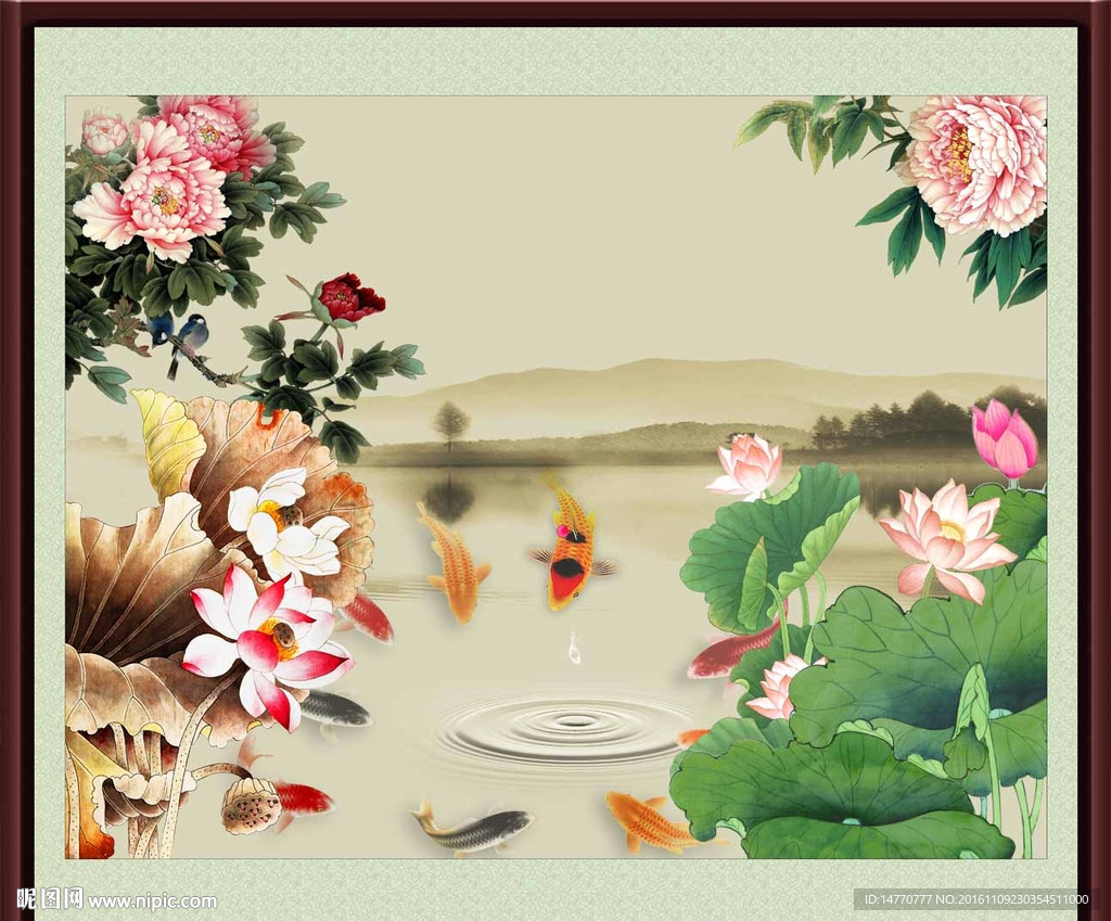 荷花鲤鱼图