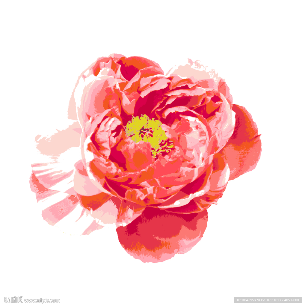 花朵图案 分层