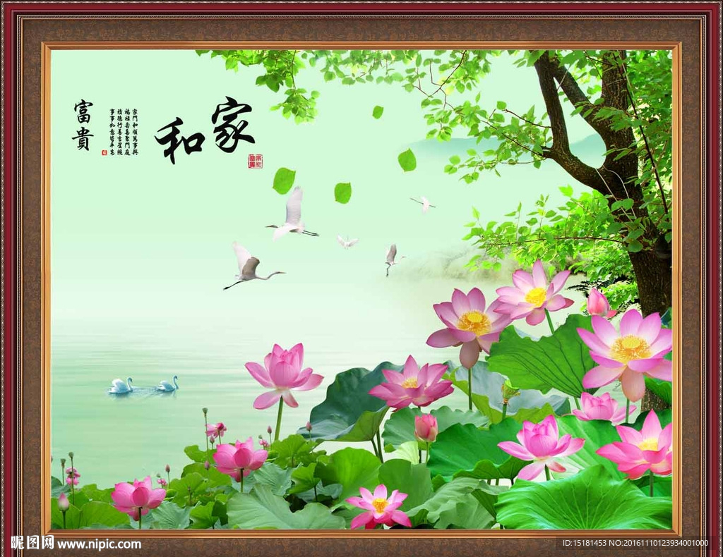 荷花图