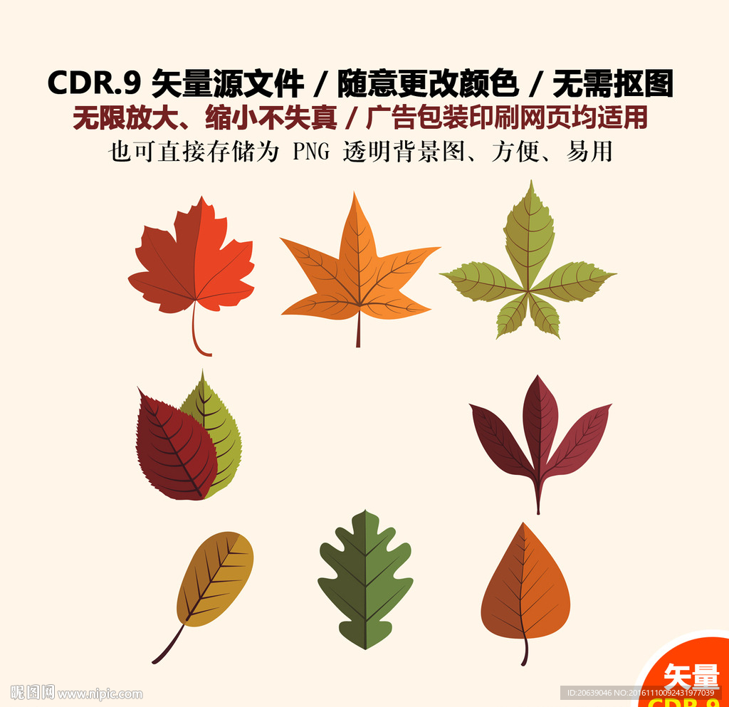 手绘卡通树叶树枝矢量图
