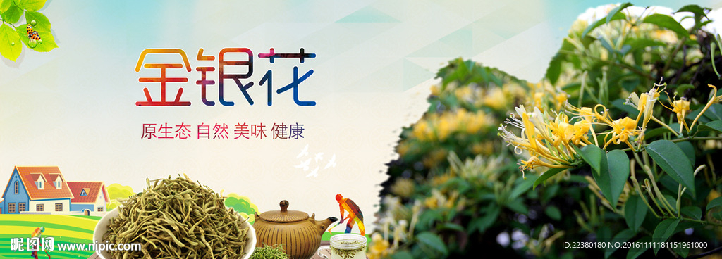 金银花
