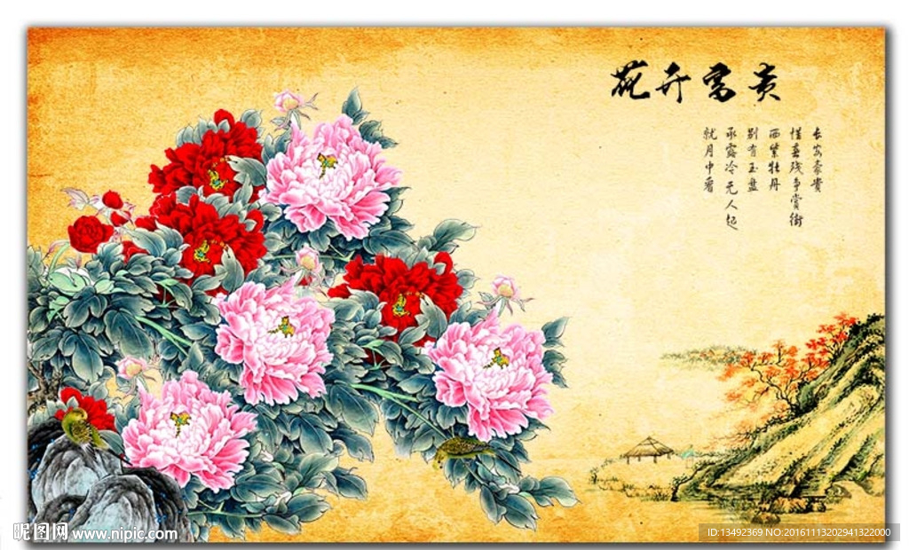 富贵牡丹