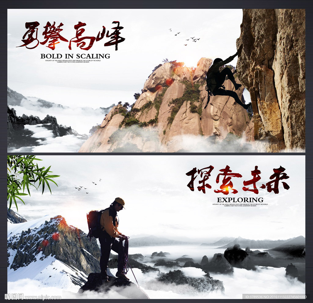商业手册