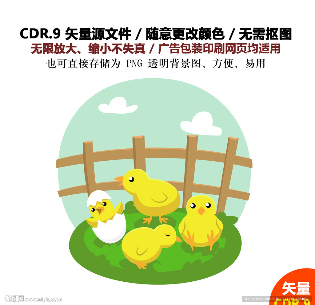 手绘线描公鸡鸡仔矢量图