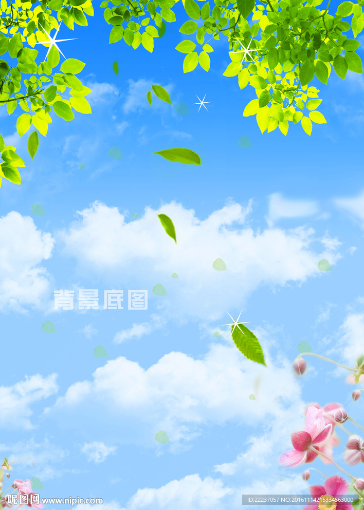 蓝天白云绿树叶风景背景图片