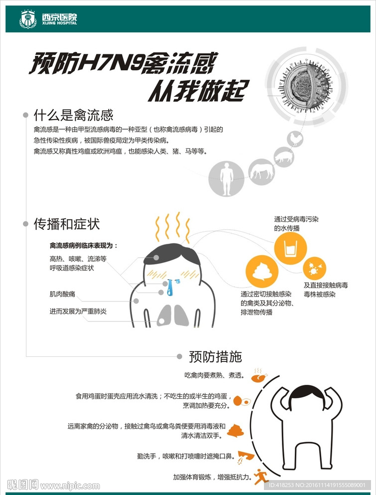 预防H7N9宣传单