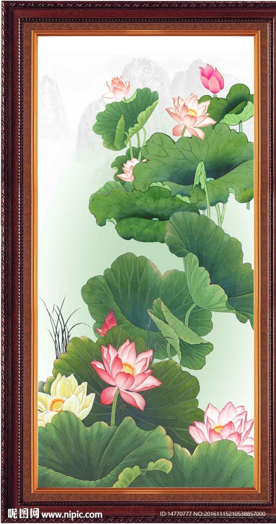 荷花图