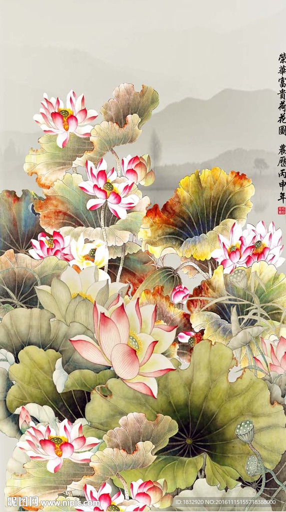 荷花图