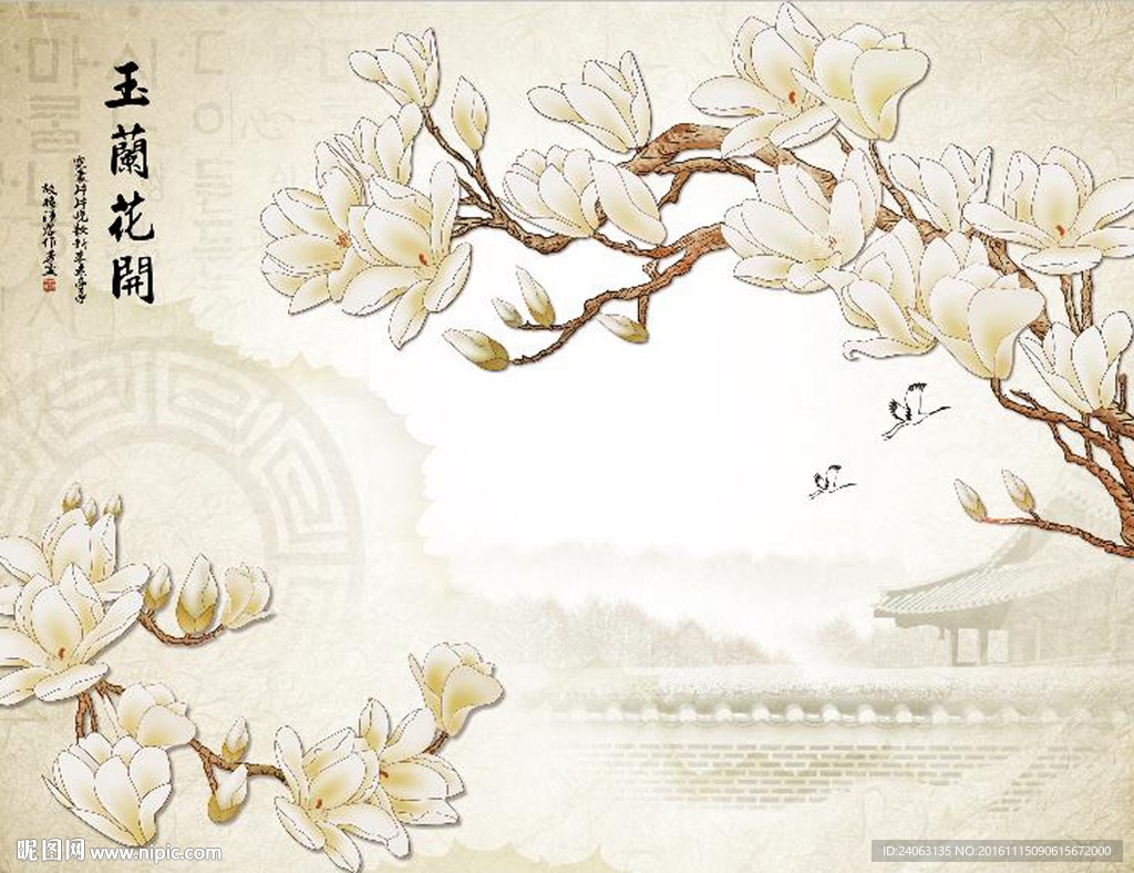玉兰花开