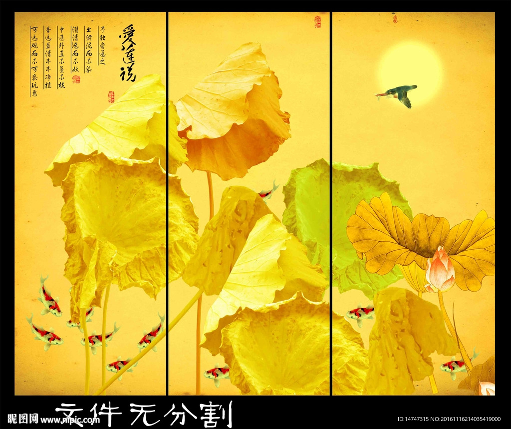 国画荷花