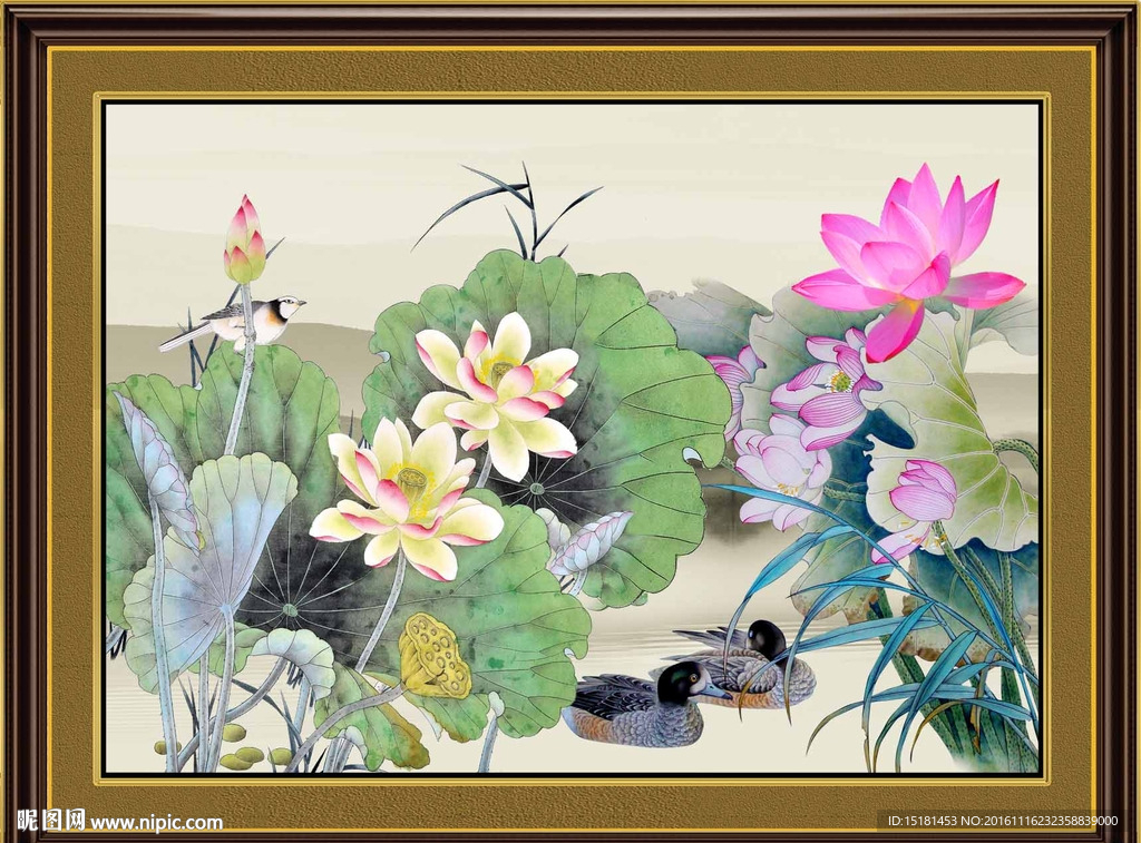 荷花图