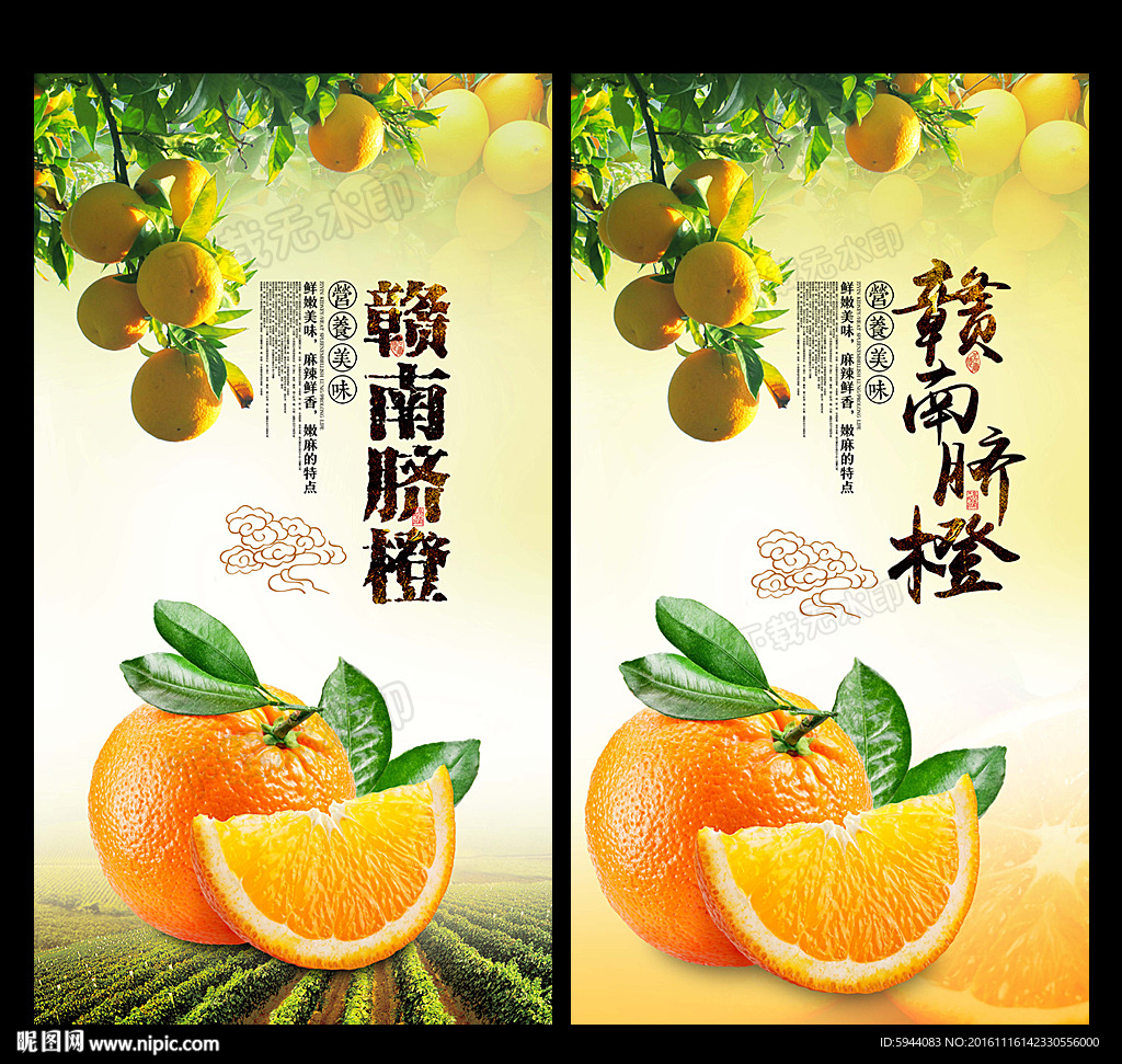 橙子