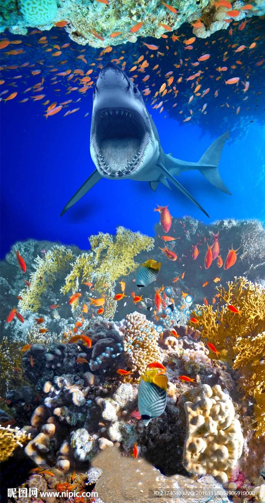 玄关海底背景墙