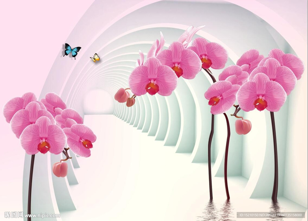 3D蝴蝶兰