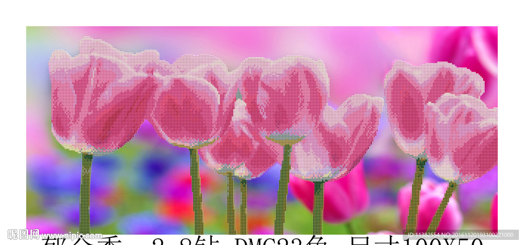 郁金香