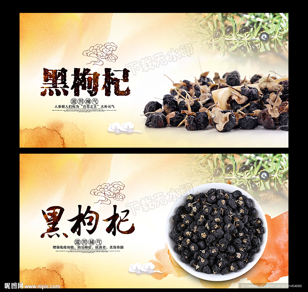 黑枸杞