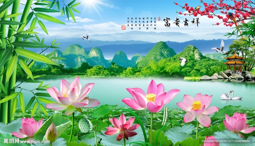 荷花风景