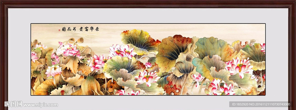 荷花