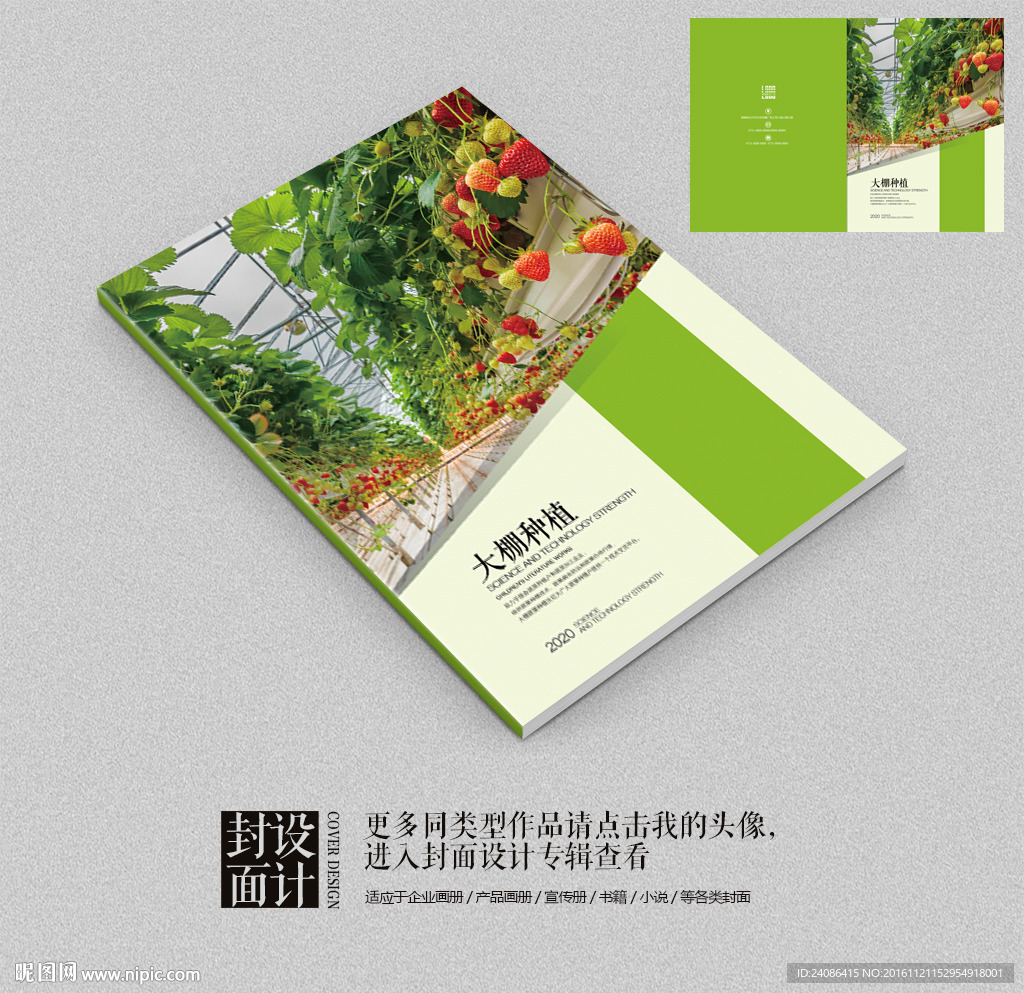大棚种植农业科技宣传册封面