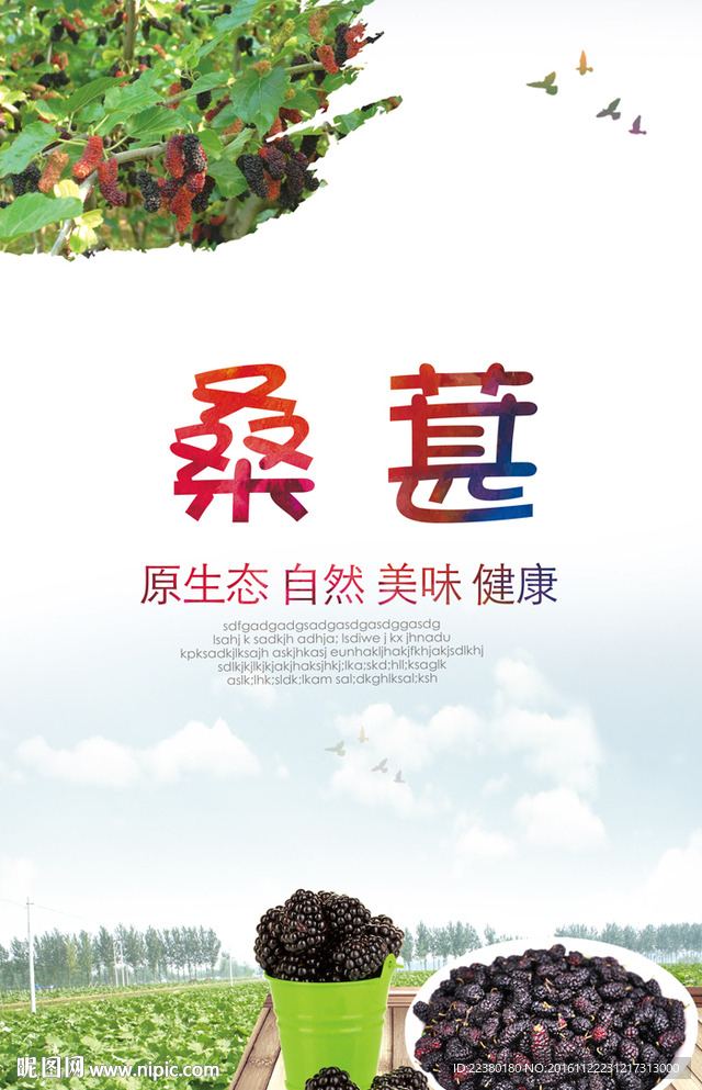 桑葚