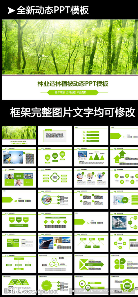 绿色森林植树造林林业木材园林