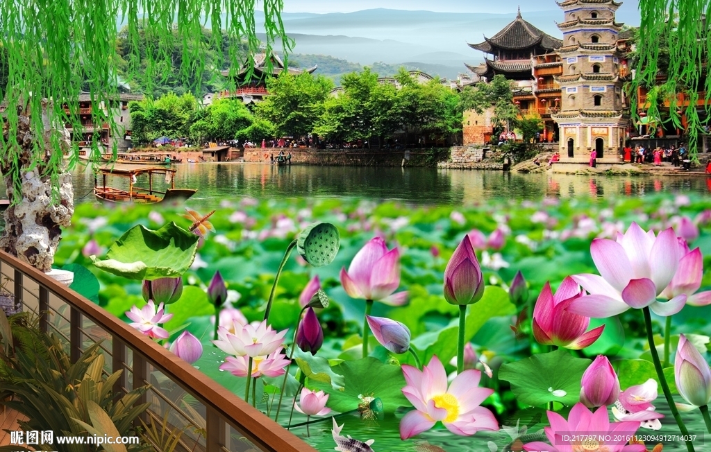 荷塘美景