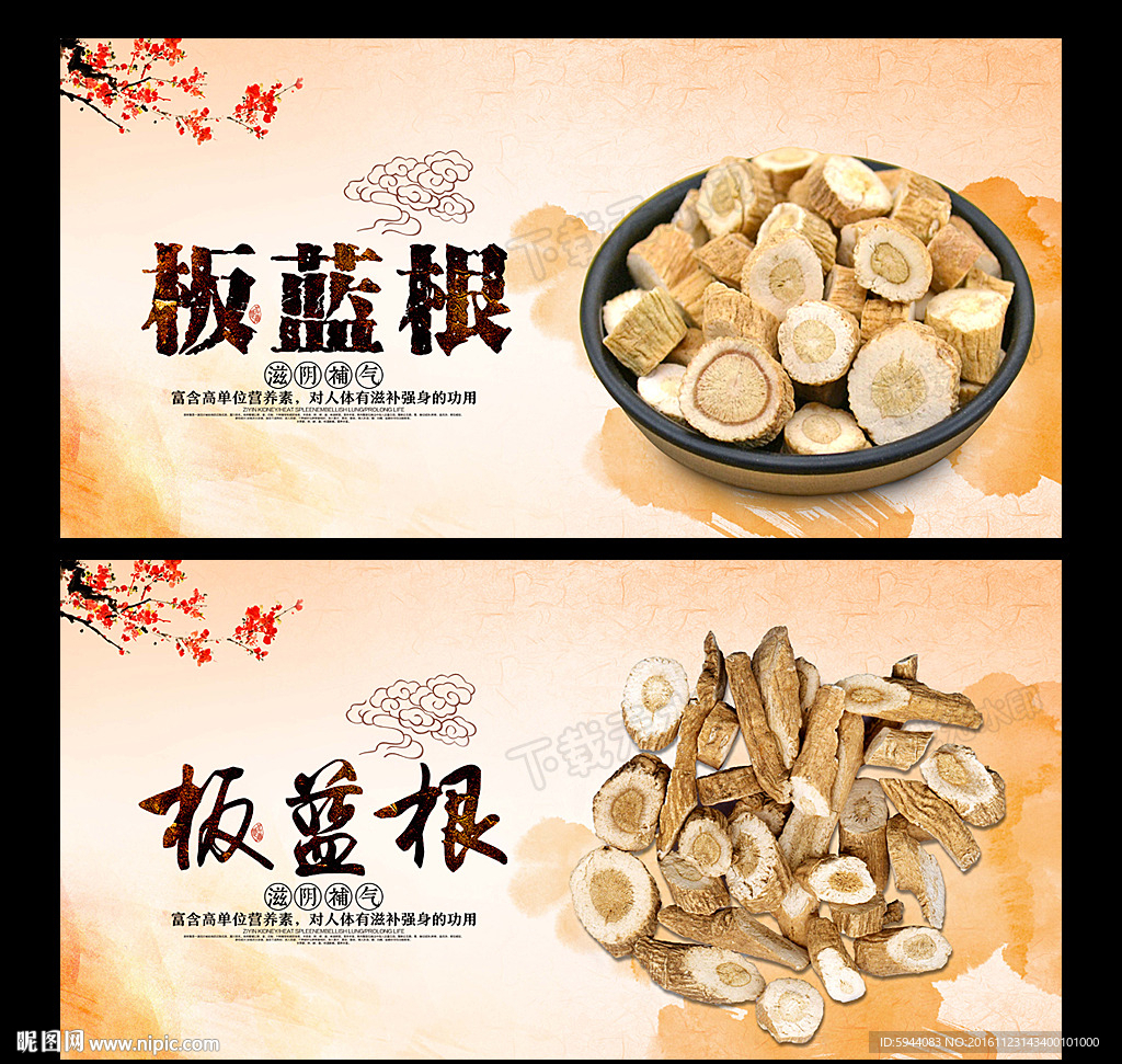 板蓝根