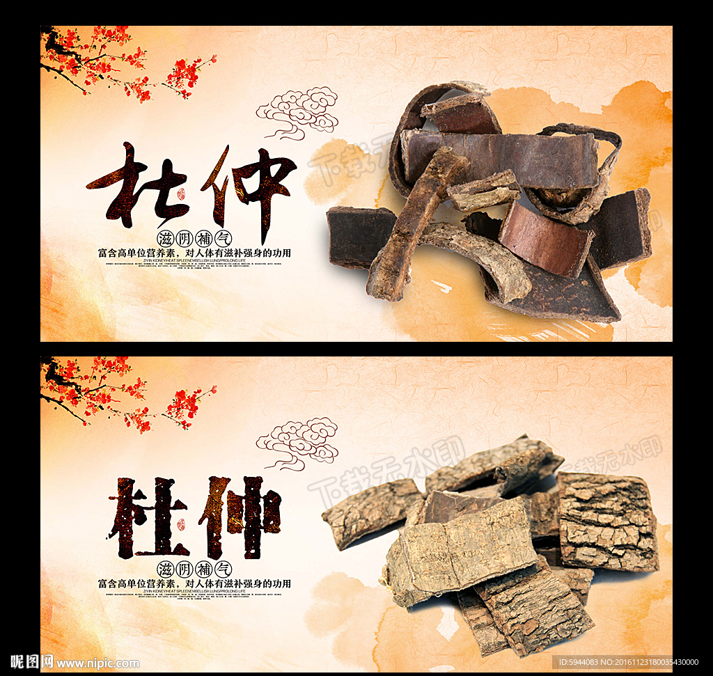 杜仲