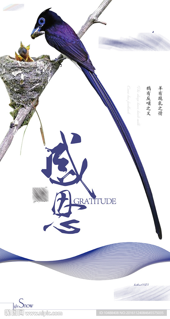 感恩节 报答 微信 节日 海报