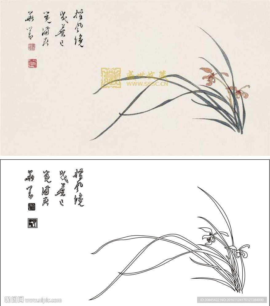 兰花赋