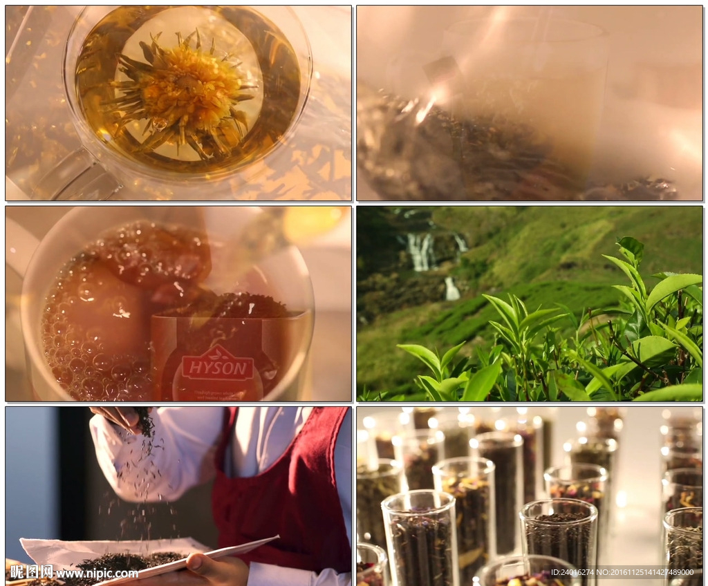 倒茶冲茶茶园茶山茶饮视频