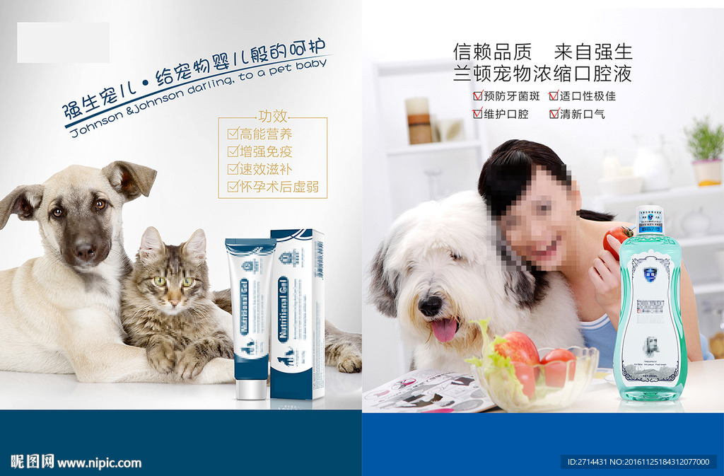宠物狗粮猫粮护理海报宣传单