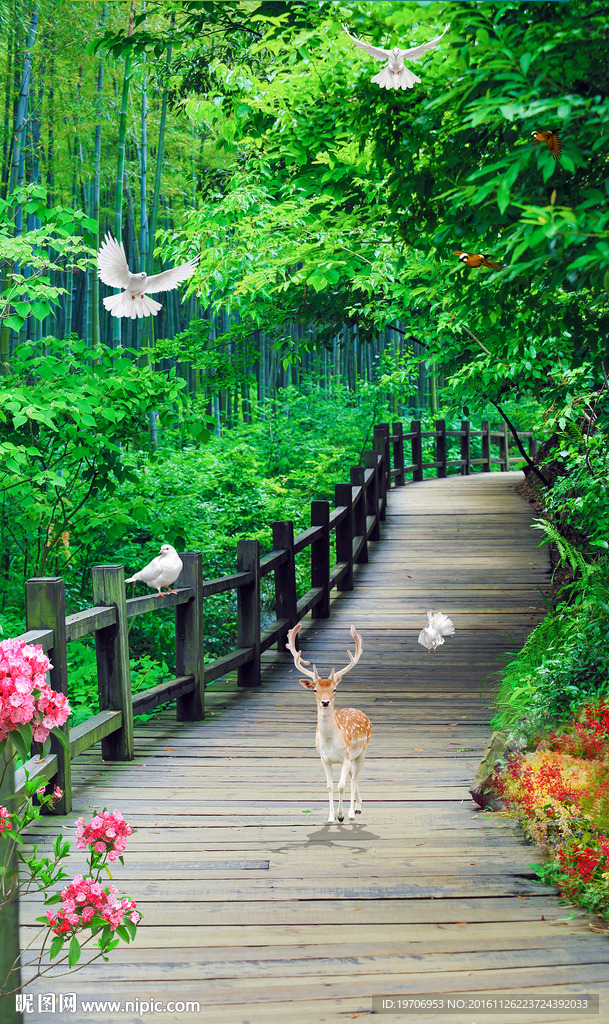 树林小鹿玄关背景