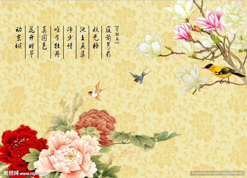 玉兰牡丹花