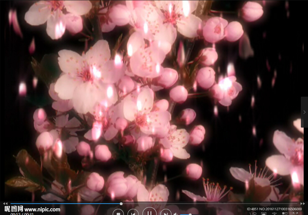 花朵 LED 动态 背景素材