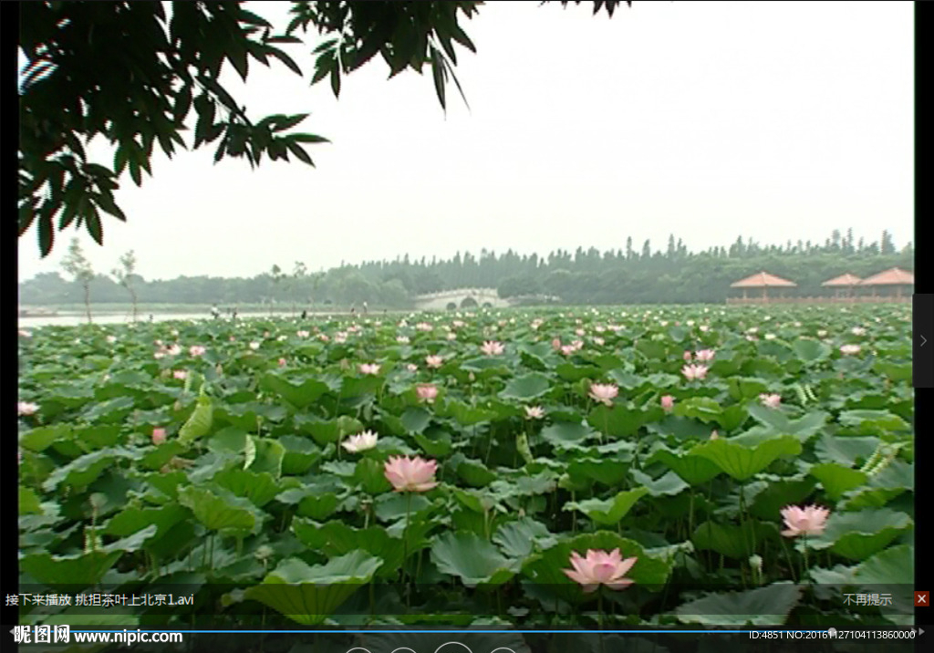 北京LED 动态 背景素材