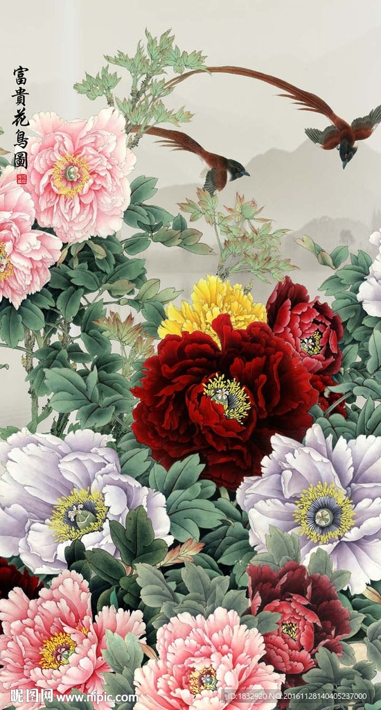 花鸟图