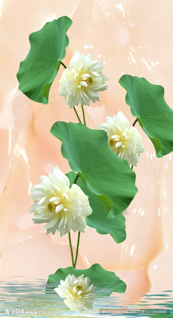 荷花玄关