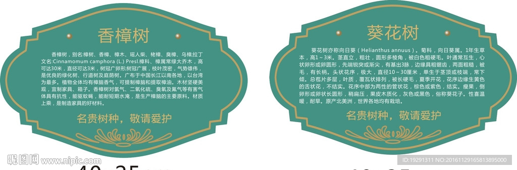 树牌