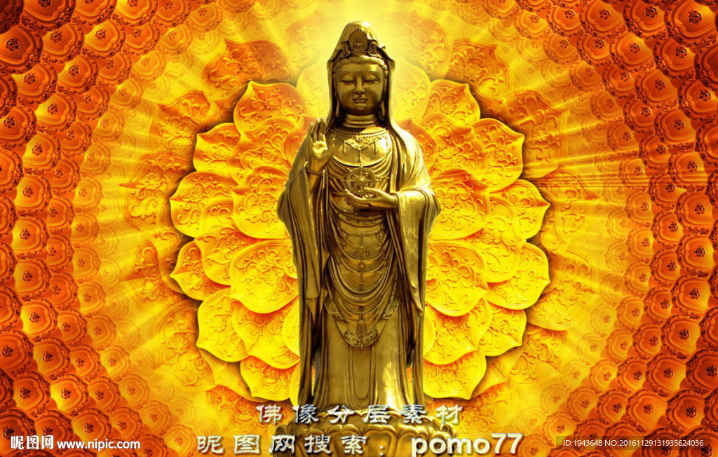 普陀山南海观音莲花背景