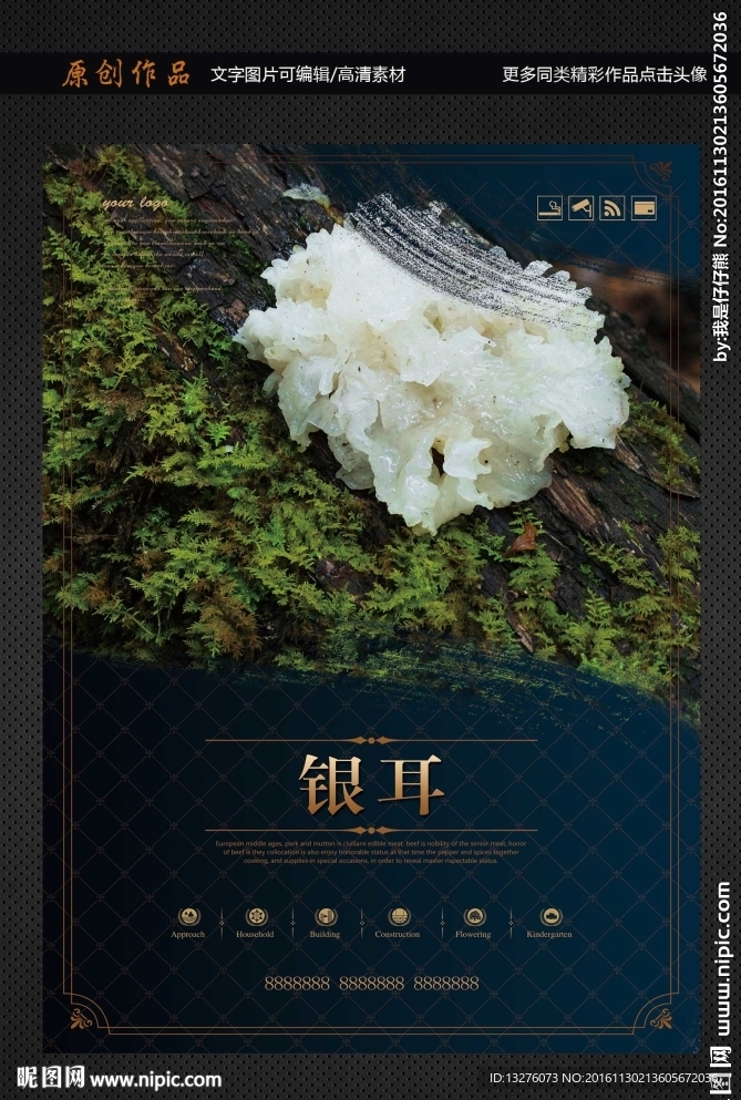 银耳
