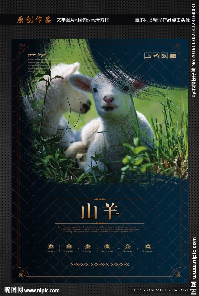 羊图片