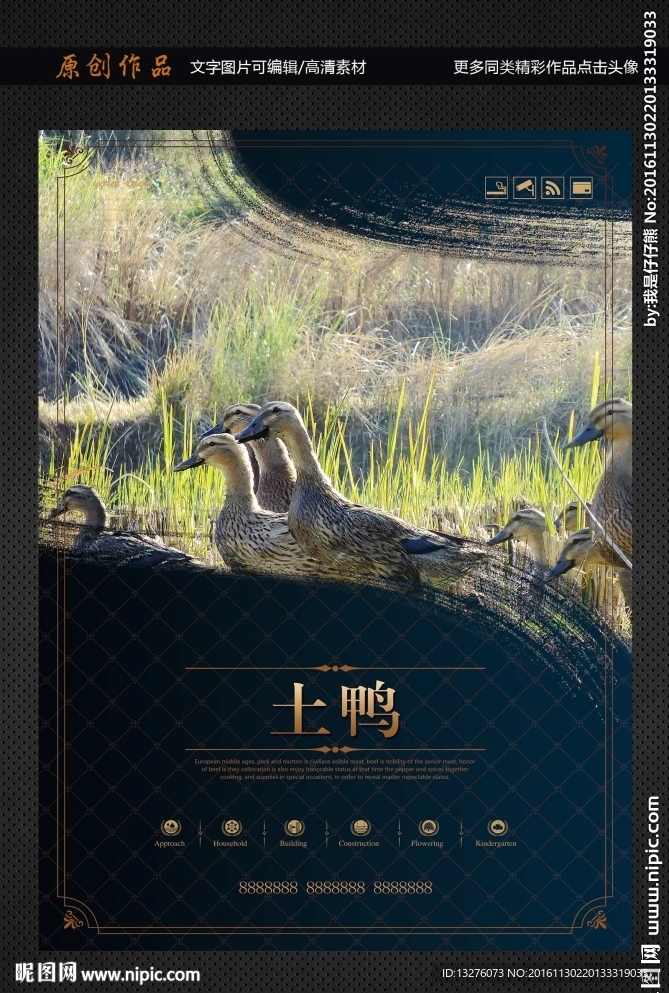 鸭子