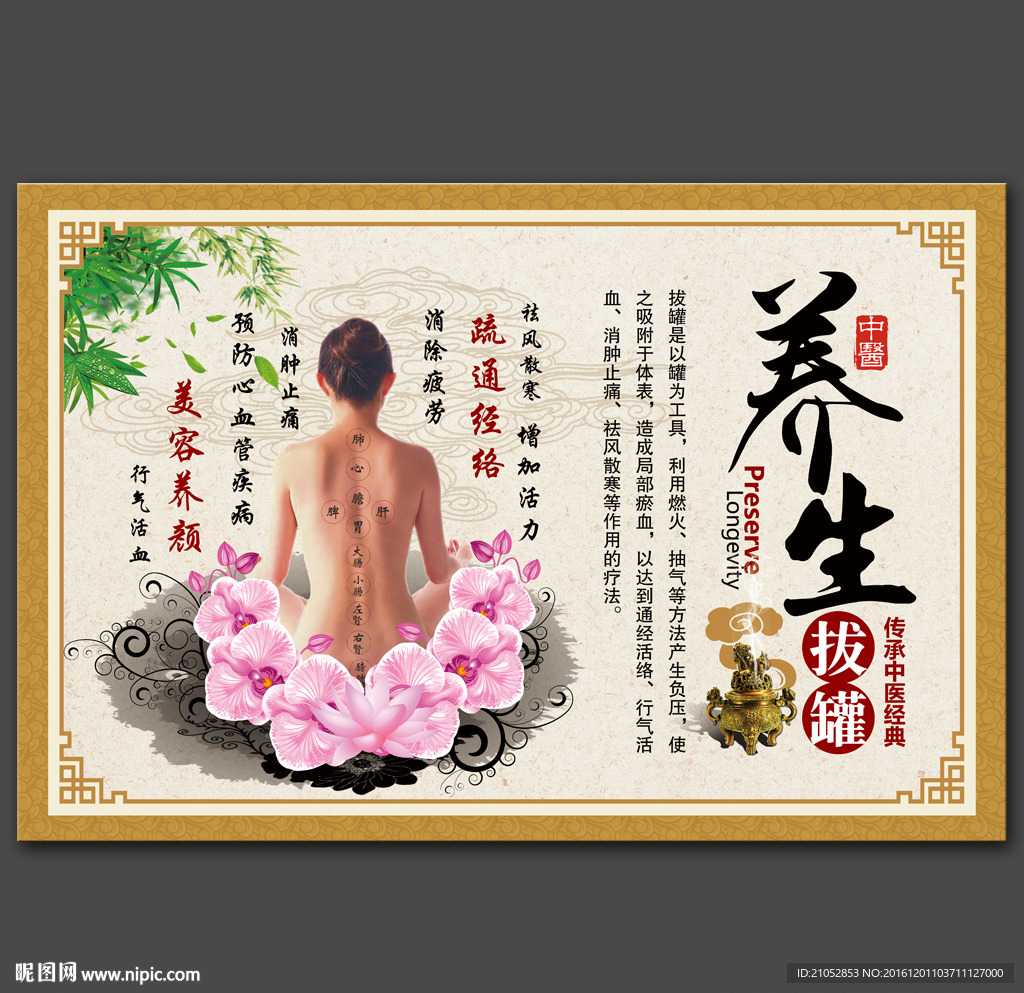 中医养生美容展板
