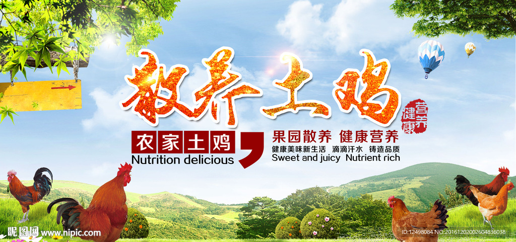 散养土鸡
