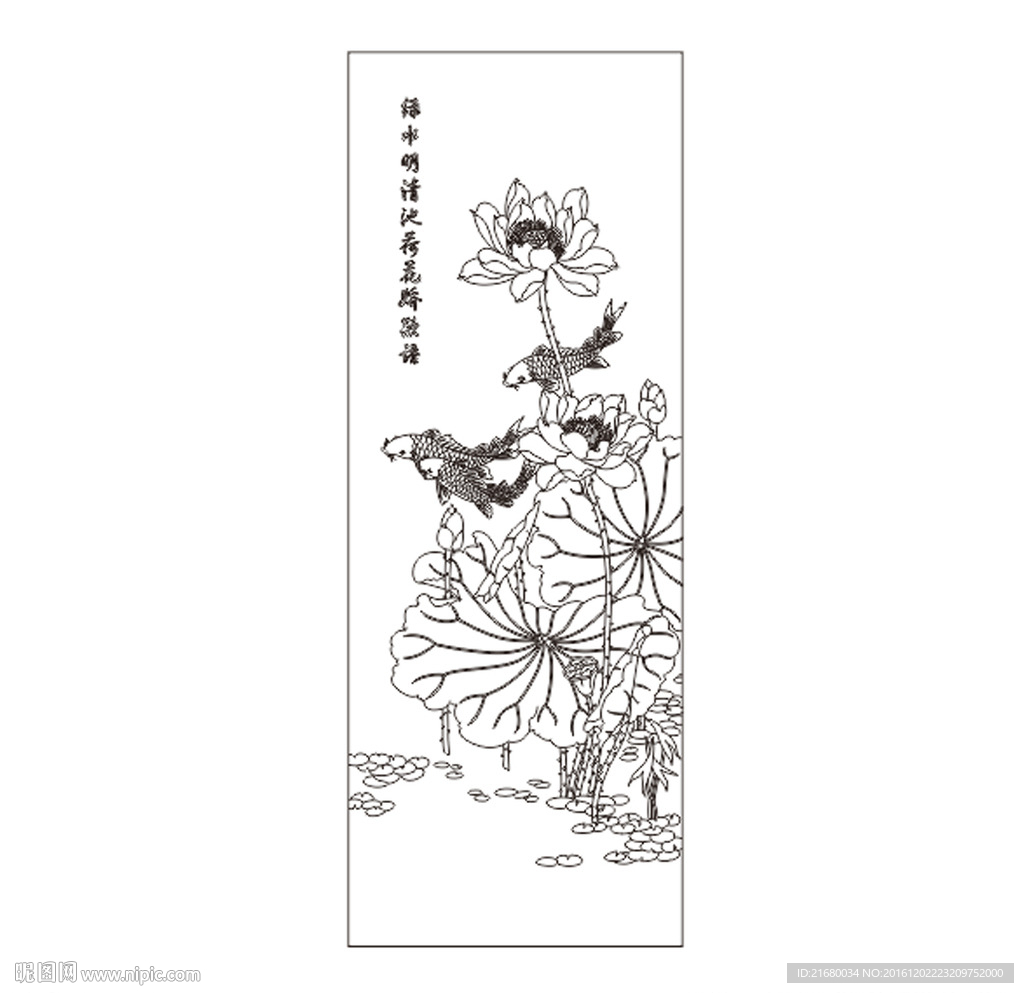 荷花
