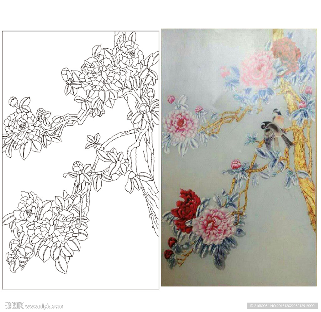 牡丹花