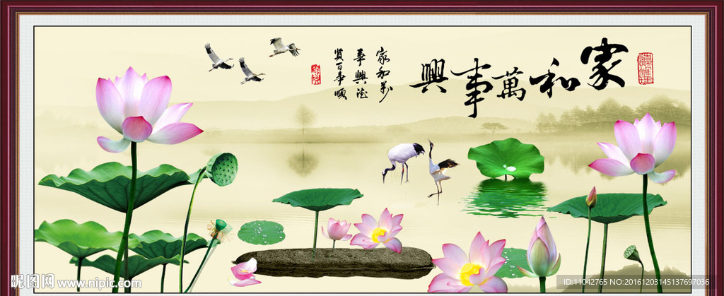 荷花