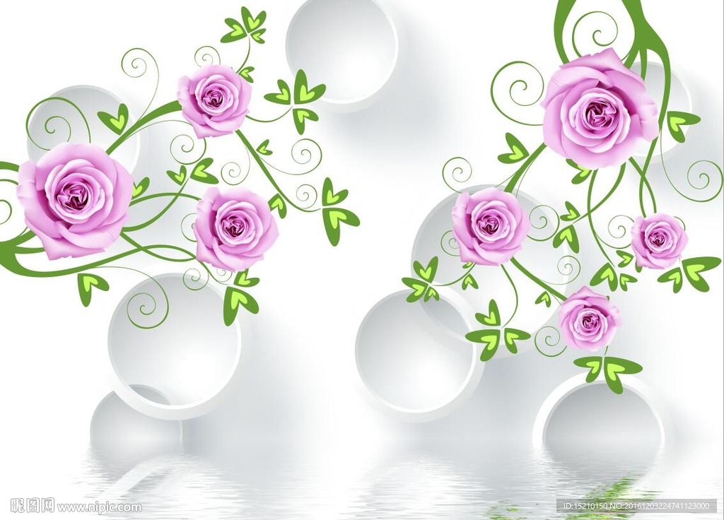 玫瑰花倒影